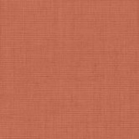 4164 - Orange